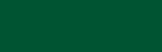 Evergreen Color Block