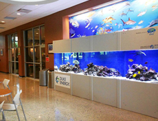 Fish aquarium in The Reef, USC