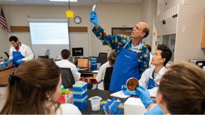 Students working with professor