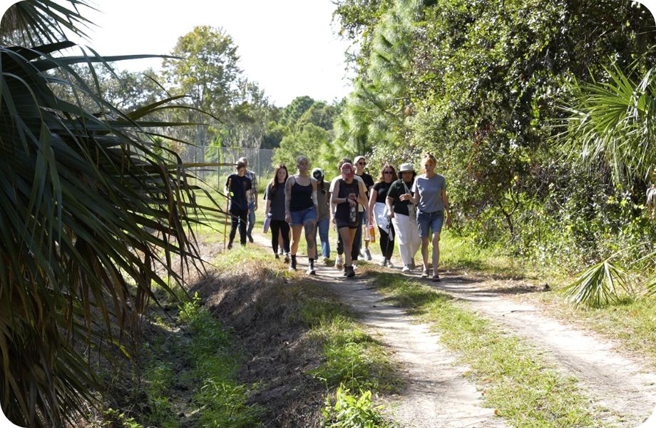 A group of people trekking through a dirt road lined with Florida floura 