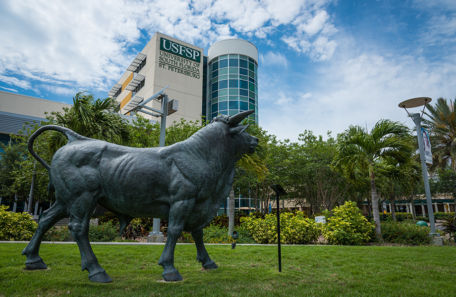 Bull statue in front of the USC building