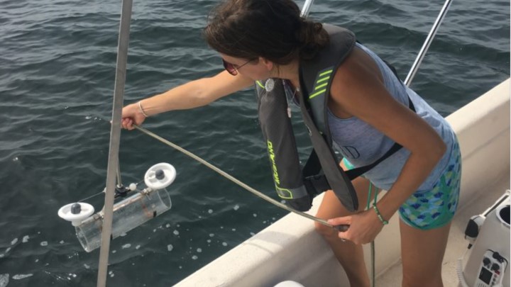Students working on research project in the water