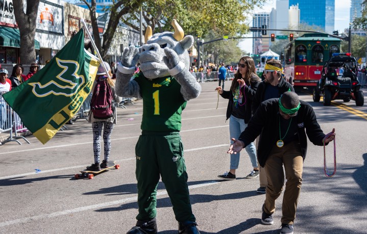 Rocky the Bull and USF students at a parade in downtown St. Petersburg