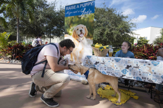 a student petting a puppy raiser dog