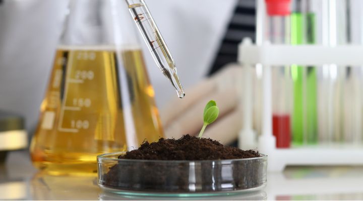 Soil in a petri dish with a green sprout growing out of it and a hand dropping liquid on it