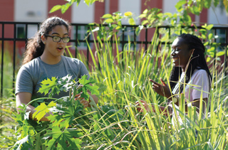 2 students talking in garden