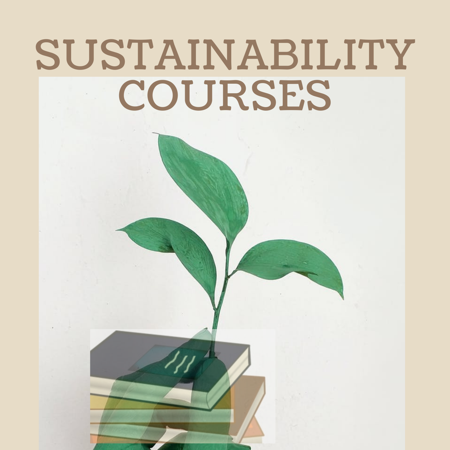 Sustainability Courses