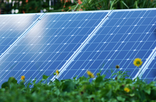 solar panel situated on campus