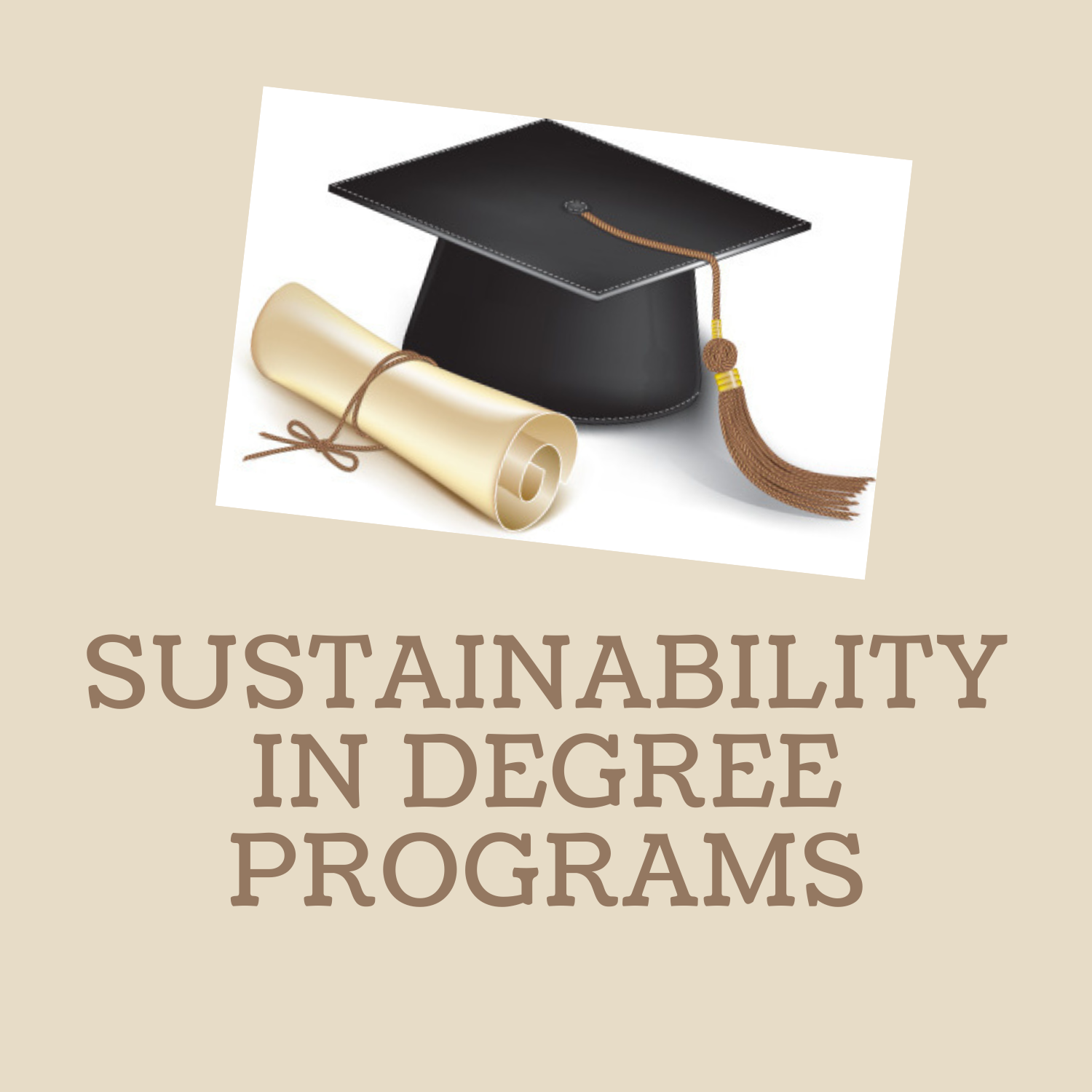 Degree Programs