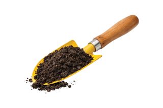 Yellow trowel with soil on it