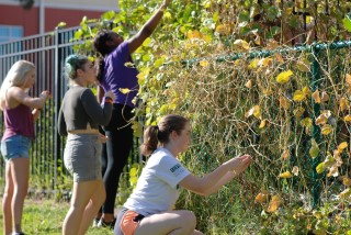 students taking care of plants on campus