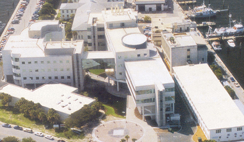 Aerial view of Marine Science building