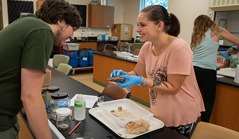 Two students in a research lab in STG standing over a table with trays and jars