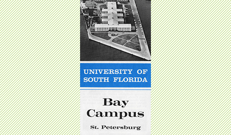University of South Florida Bay Campus St. Petersburg