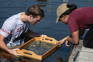 invertebrate zoology students researching at Weedon island