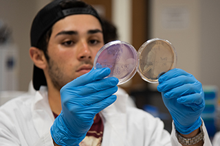 student looking at biology samples