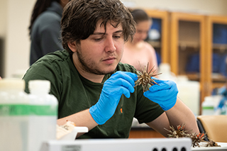 student in a classroom examining marine biology