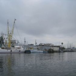 Group of fishing boats docked against a gray sky