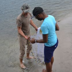 Two people holding a net near edge of coastal water. 