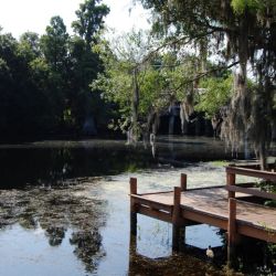 A dock overlooking brackish riverwater