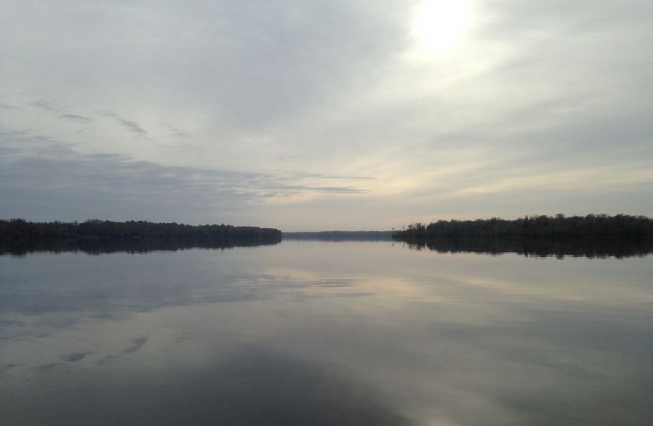 Still river water with trees in the background