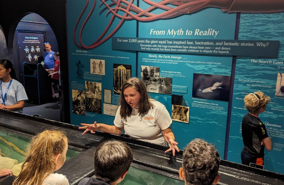Person explaining things to young kids at museum exhibit. 