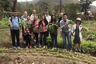 A group of students in a garden holding vegetables