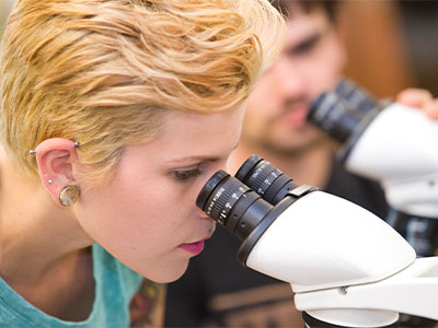USF students using microscopes for research.