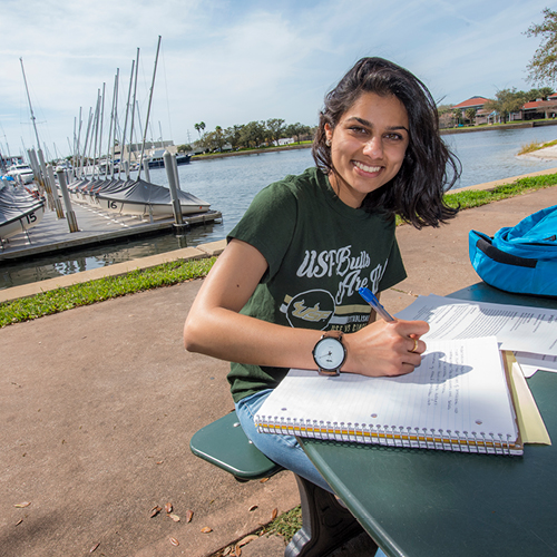 Admissions Usf St Petersburg Campus