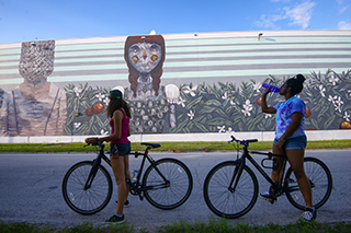 Two bicyclists looking at a mural