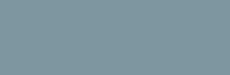 USF accent color sample - Gray