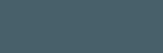 USF accent color sample - Slate