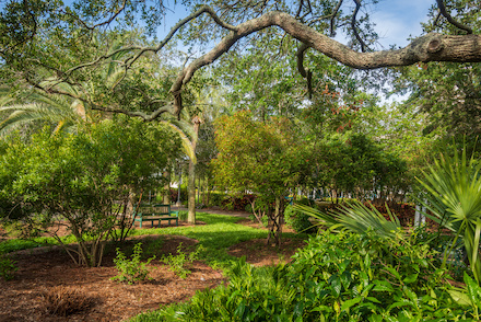 Butterfly garden