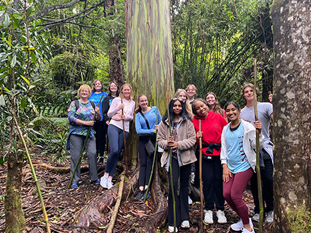 kona cloud forest