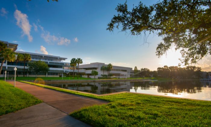 A view of Bayboro Harbor