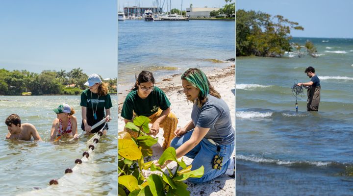 Three photo collage of students working in the Gulf and on the shore.