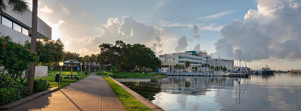 sunrise over bayboro harbor looking toward heller hall