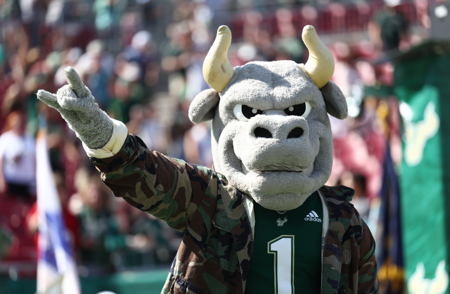 Rocky the Bull wearing camo and holding up a Bull U sign