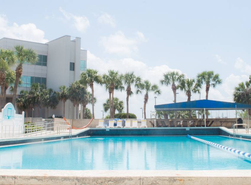 pool on a sunny day