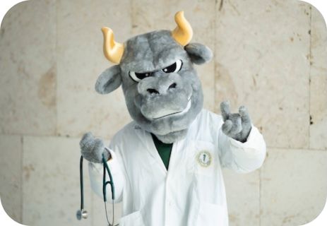 Rocky the Bull wearing a lab coat and holding a stethoscope