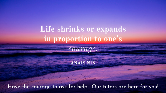 Courage Quote Anais Nin