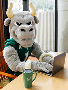 Placeholder image of Rocky