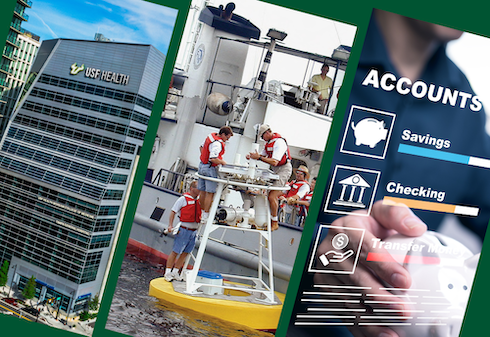 University of South Florida: A Preeminent Research University