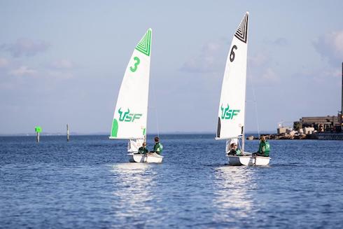 University of South Florida: A Preeminent Research University