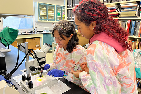 Students examine sediment in a lab at CMS