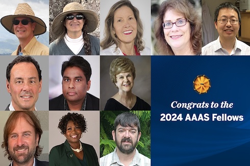 2024 AAAS fellows.