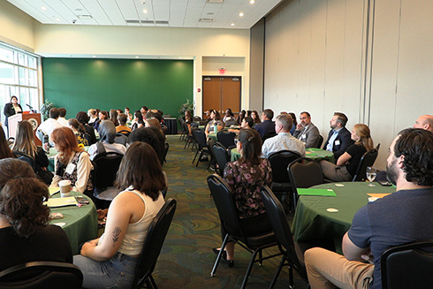 Innovation Scholars