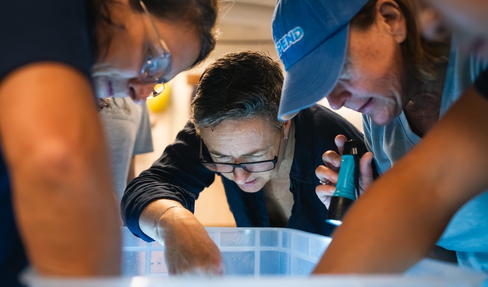 Scientists look over container of seawater from midwater region.