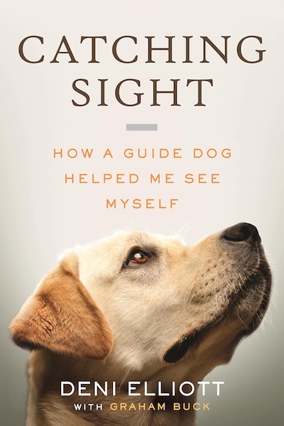 Book cover of Catching Sight by Deni Elliott