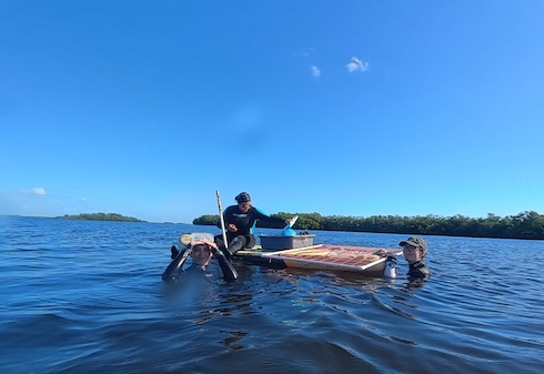 Field work studying seagrasses.
